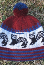 Ferret Trash by Annah Wadler