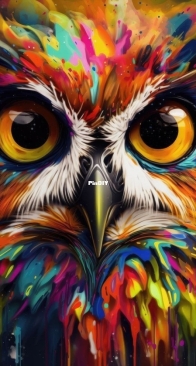 Sxem Master - Explosion of color