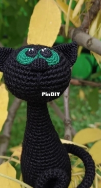 Shoti - Julia Shoti - Black Cat - Free