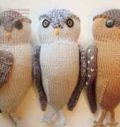Obligatory Owl