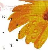 Gerbera Clock