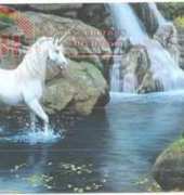 Unicorn Pool - HAERS002