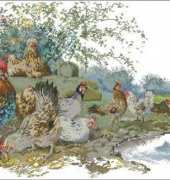 Thea Gouverneur TG 2038 Hens and cockerell