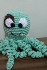 Baby octopus