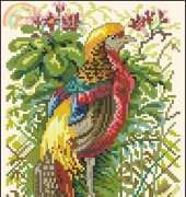 Eva rosenstand ER 12-269 Exoic Bird
