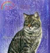 HAED HAEIAG 1247 Winter Tabby by Irina Garmashova