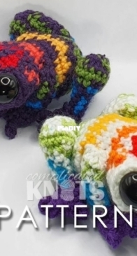 Complicated Knots - Kylie Slee - Rainbow Dart Frog