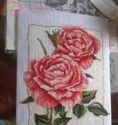 MY ROSES
