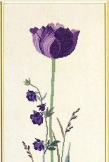 Eva Rosenstand 08-4178