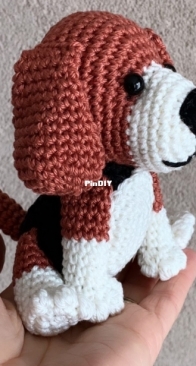 Beagle
