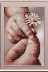 M.P. Studio PK-488 Chamomile as a gift