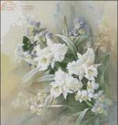 Fiori 6