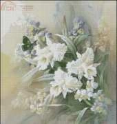 Fiori 6