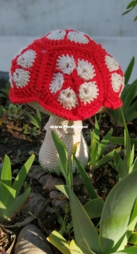 Little mushroom