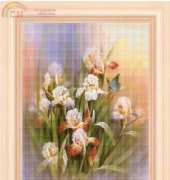 FIORI 56