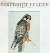 Ross Originals - Peregrine Falcon