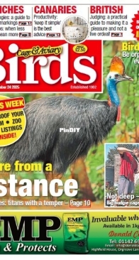 Cage and Aviary Birds - 24 September 2025