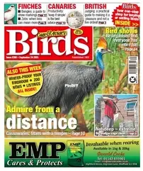 Cage and Aviary Birds - 24 September 2025