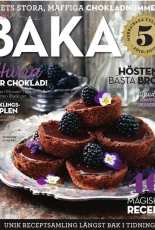 Baka-N°5-2015 - Swedish