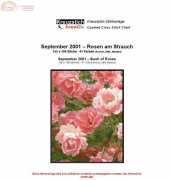 Kreuzstich Kreativ - Bush of Roses