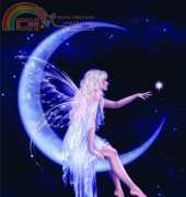 HAERA1251 Birth of A Star