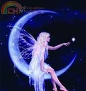 HAERA1251 Birth of A Star