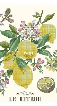 Les Brodeuses Parisiennes LBP - Etudes aux fruits - Le citron