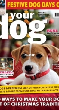 Your Dog - December 2025