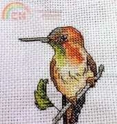Bird