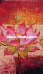 HAELYF1602 -Lotus Flowers