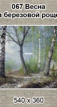 NaDiMa - 067 - Springtime In The Birch Grove