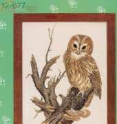 Eva Rosenstand ER 12-677 Night Owl XSD