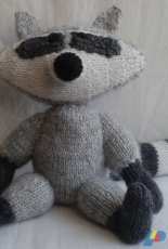 My little raccoon