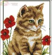 Vervaco 70.891 Kittens with Poppies