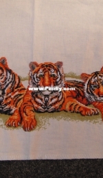 Tigers