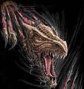 HAEANS 1235 Dragon Rip