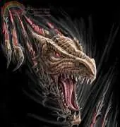 HAEANS 1235 Dragon Rip