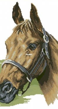 Lanarte 35055 Horse Head XSD