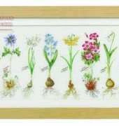 Thea Gouverneur TG 1087 Flower Bulb Sampler