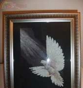 White dove