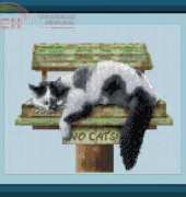 No Cats ! Marv Schier