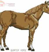 Quarter Horse from Something Special 90036 Horse Collection