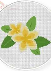Daily Cross Stitch - Fragipani