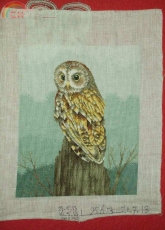 Autillo-Owl painting from Cuadros