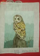 Autillo-Owl painting from Cuadros
