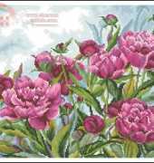 RTO M272 Peonies