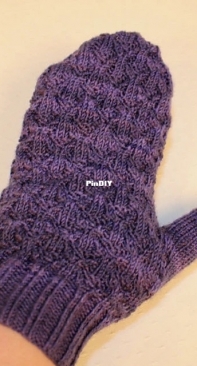 Nemesis Mitts  by Maureen Foulds