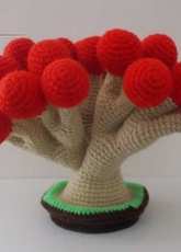 Bonsai