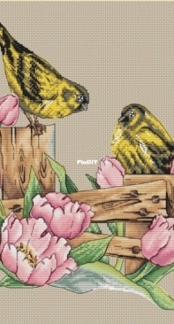 Two Siskins On The Fence by Jeanne Dick