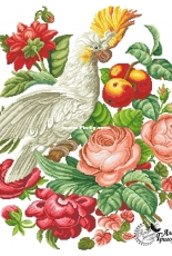 Alena Grigorieva - White Cockatoo in Colors
